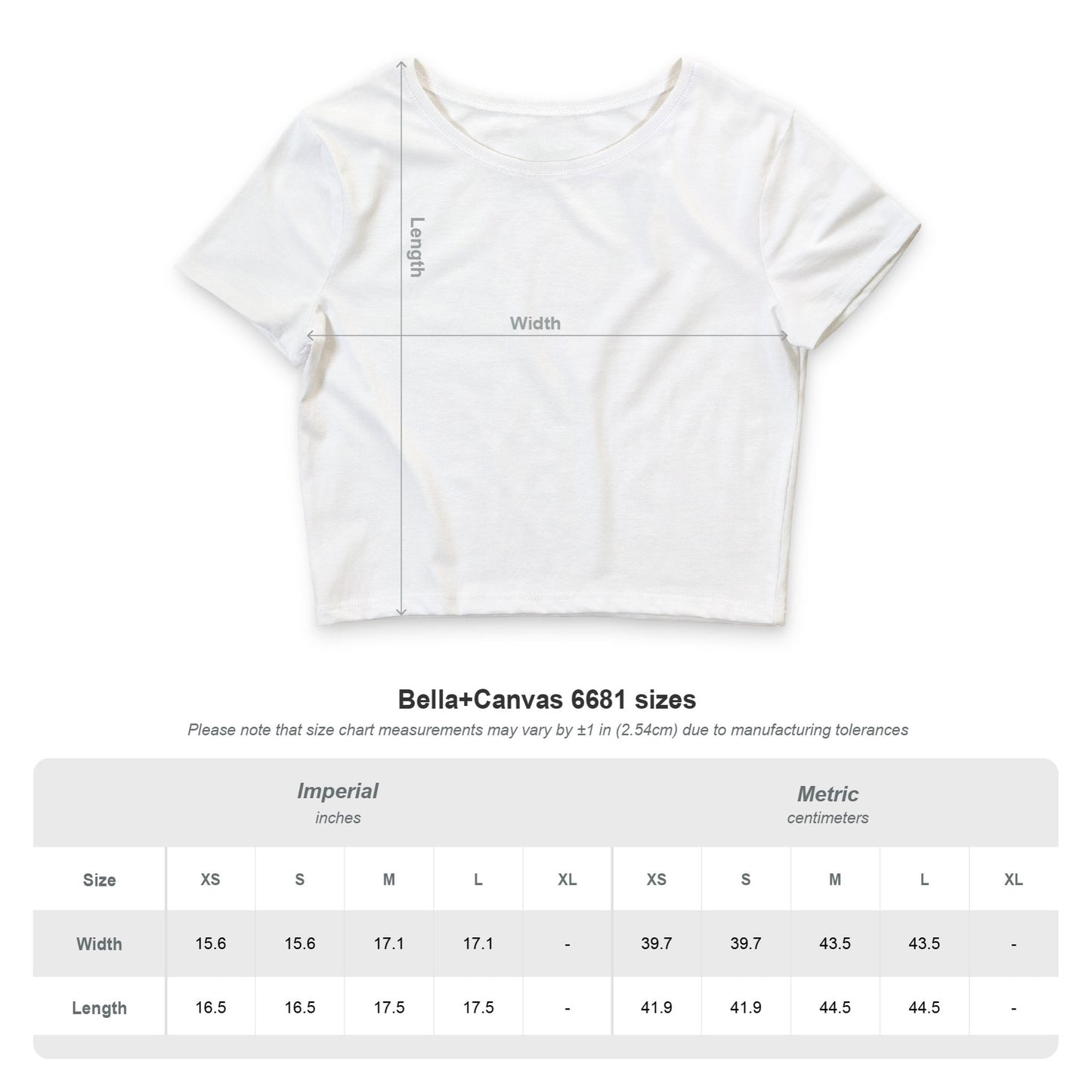 Tru2DaGame(T2DGear) Logo Women’s Crop Tee